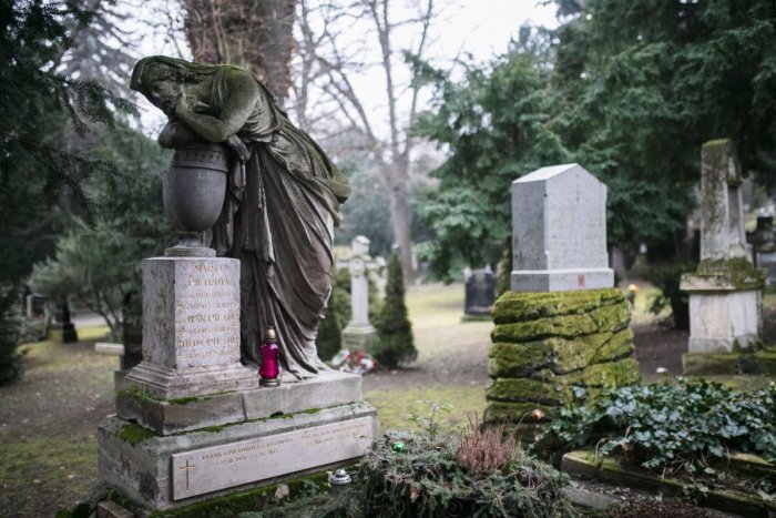 Ilustračný obrázok k článku Zelené miesto plné ticha v srdci Bratislavy čaká konečne obnova