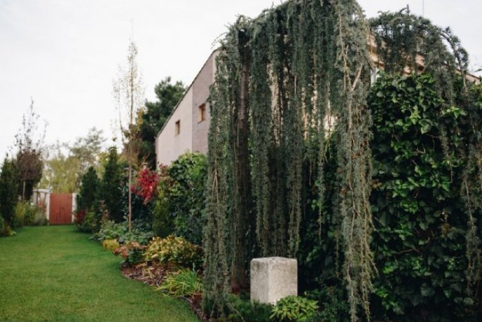 Ilustračný obrázok k článku Bratislava má najkrajšiu záhradu na Slovensku. Kde sa ukrýva?