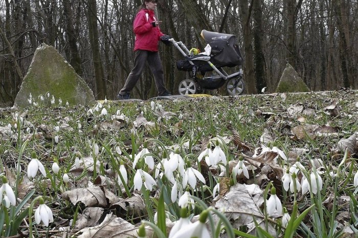 Ilustračný obrázok k článku Môžeme už hovoriť o jari? Pripravte sa na nezvyčajné teploty!