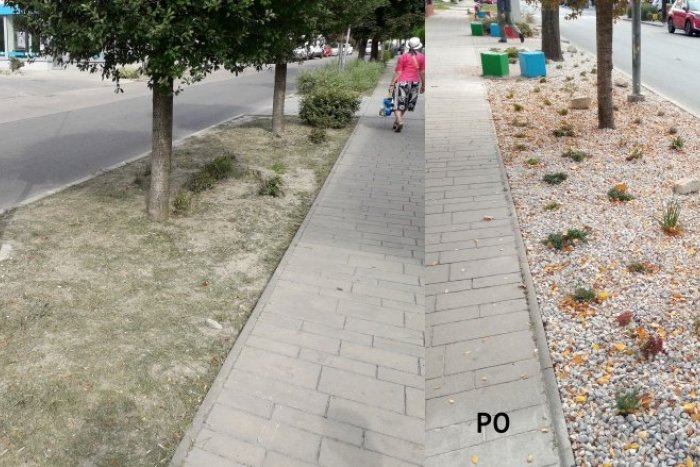 Ilustračný obrázok k článku Rača opeknela. Zmizli staré vraky a pribudli kvety.