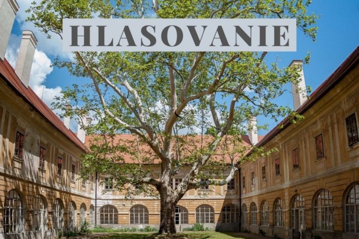 Ilustračný obrázok k článku Hľadá sa najväčšia pýcha Žiaru: Hlasujte vo veľkej ANKETE!