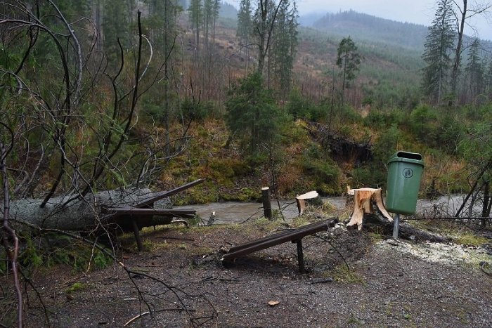 Ilustračný obrázok k článku Víchrica Yulia zrejme spôsobí veľké škody: Hrozí PADAVÝ VIETOR, platí 3. stupeň výstrahy!