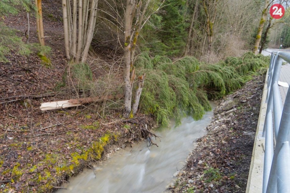 Ilustračný obrázok k článku Yulia vyčíňala aj v Ružomberku: V meste vyvalilo niekoľko stromov, FOTO
