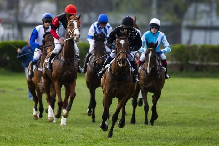 Ilustračný obrázok k článku Koniec dostihov za Dunajom? Petržalskému závodisku podľa Matečnej hrozí, že ho ovládnu developeri