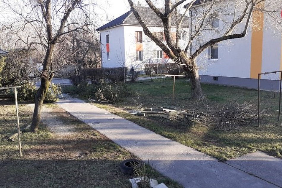 Ilustračný obrázok k článku Víchrica Júlia priniesla do Bratislavy aj náraz o sile 108,1 km/h. Aké škody napáchala?