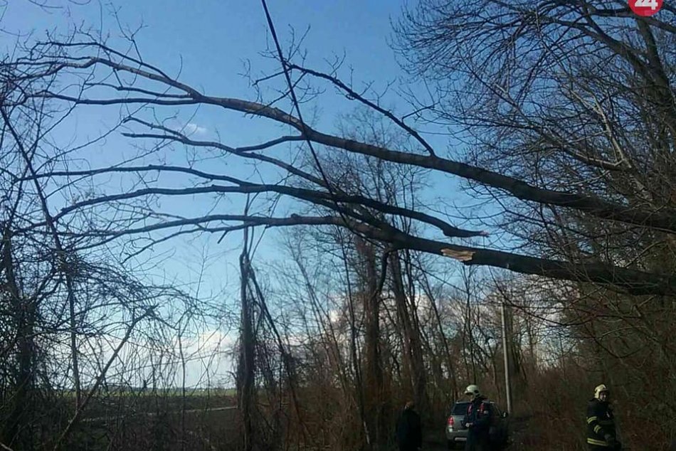 Ilustračný obrázok k článku Tatranskí lesníci rátajú škody po víchrici: Padli tisíce stromov!