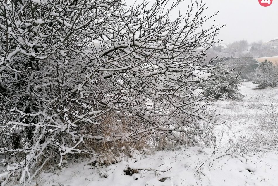 Ilustračný obrázok k článku S Martinom sa spájajú zimné pranostiky, ale je obľúbený i medzi vinármi a gazdinkami