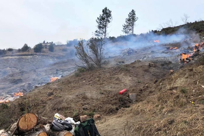 Ilustračný obrázok k článku Oheň na Devínskej Kobyle. Chyba ochranárov?