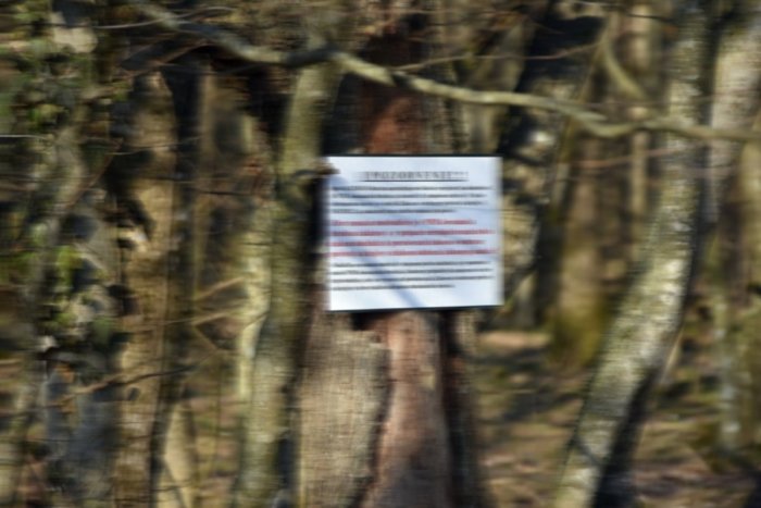 Ilustračný obrázok k článku Viete, čomu sa hovorí vihorlatský unikát? Potešenie pre všetky oči je už tu