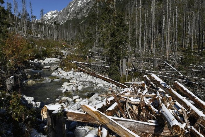 Ilustračný obrázok k článku SVET O SLOVENSKU: Krajina vysychá, lesy miznú… bude pod Tatrami savana?