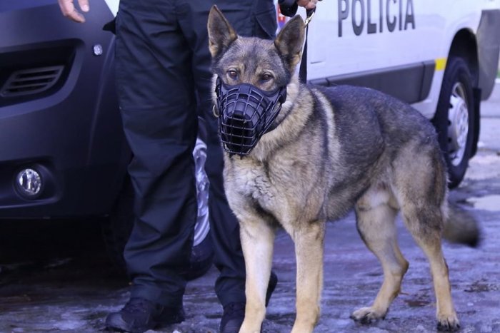 Ilustračný obrázok k článku Nitrianske nákupné centrum evakuovali! Na mieste hľadali výbušninu