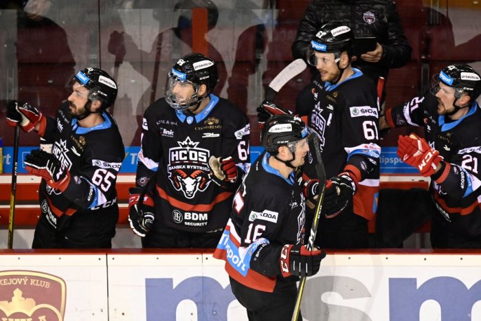 Ilustračný obrázok k článku Slovenským šampiónom v hokeji sa stali barani: Naozaj majú dôvod na oslavu? FOTO