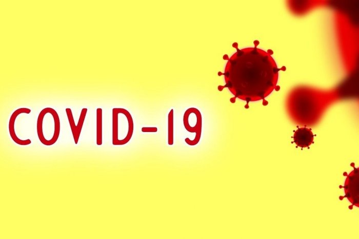 Ilustračný obrázok k článku Koronavírus: Známe sú ďalšie výsledky testovaných Slovákov. Dobré správy!