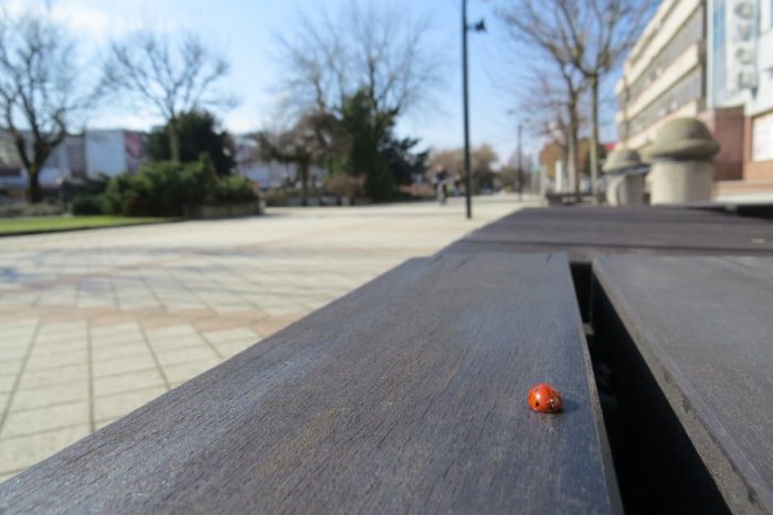 Ilustračný obrázok k článku Kontaktné miesto na michalovskom námestí: Pre koho bude určené?