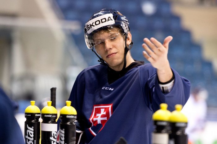 Ilustračný obrázok k článku Hokejový reprezentant doplatil na vírus: Zarába si s lopatou v ruke! VIDEO