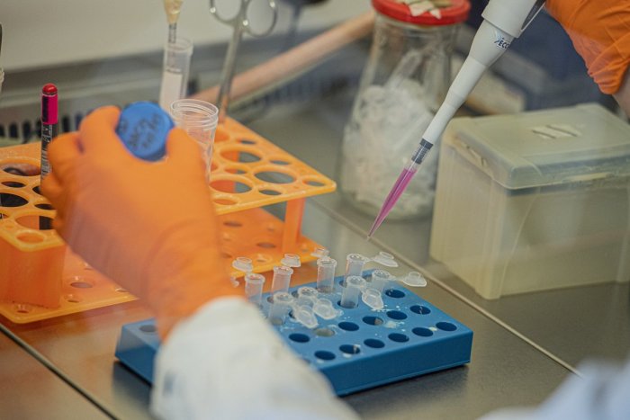 Ilustračný obrázok k článku Test na koronavírus si už zaplatiť sami nemôžete!