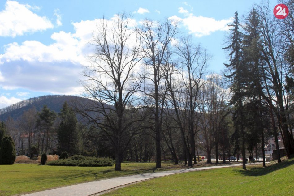 Ilustračný obrázok k článku Bystričanov s alergiami nepotešíme: Toto ukázali najnovšie merania