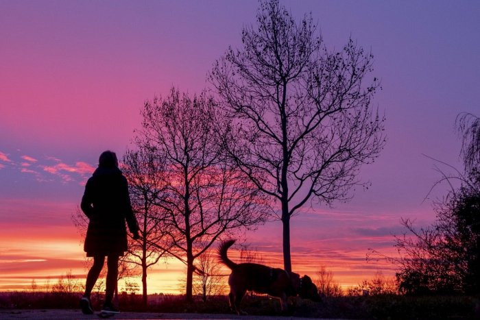 Ilustračný obrázok k článku Poľnohospodári žasnú: Ľudia nevedia čo so sebou, ležia na pšenici či kočíkujú po repke