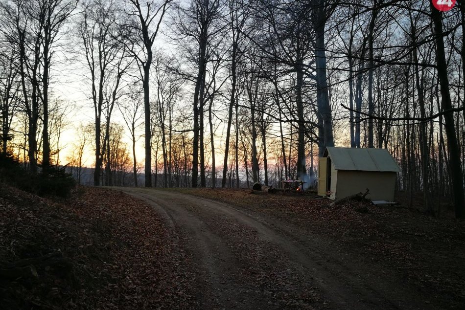 Ilustračný obrázok k článku Únik do divočiny? Strážca prírody sa pustil do opravy chatky v pohorí Tribeč