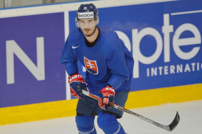 Ilustračný obrázok k článku Hokejový reprezentant má obrovskú radosť: Po dvoch dcérach sa dočkal SYNA! FOTO