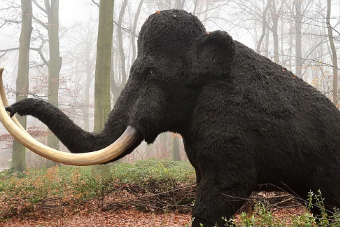 Ilustračný obrázok k článku Bratislavčanov ráno vystrašili čudné zvuky. O čo išlo? + VIDEO