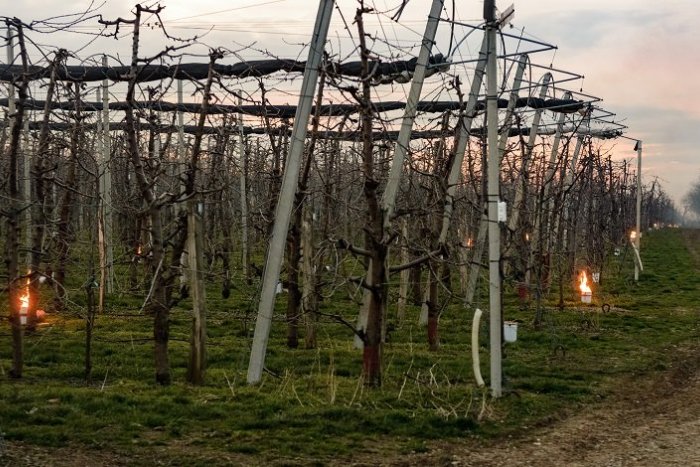 Ilustračný obrázok k článku Výstrahy pred mrazom vystriedajú vysoké teploty. Dokedy dopraje počasie záhradkárom?