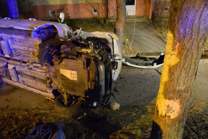 Ilustračný obrázok k článku Opitému vodičovi (44) v Prievidzi vbehlo pod kolesá zviera: Takto to dopadlo! FOTO