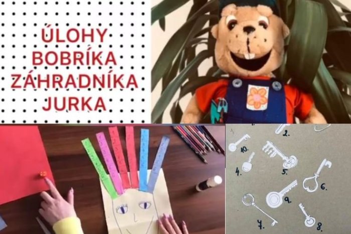 Ilustračný obrázok k článku Vysokoškoláčky pomáhajú s výučbou na diaľku: Pre prvákov vymýšľajú hravé úlohy