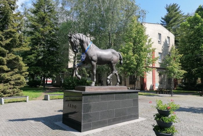 Ilustračný obrázok k článku Študenti "Veteriny" ostávajú doma, prechádzajú na dištančnú formu výuky