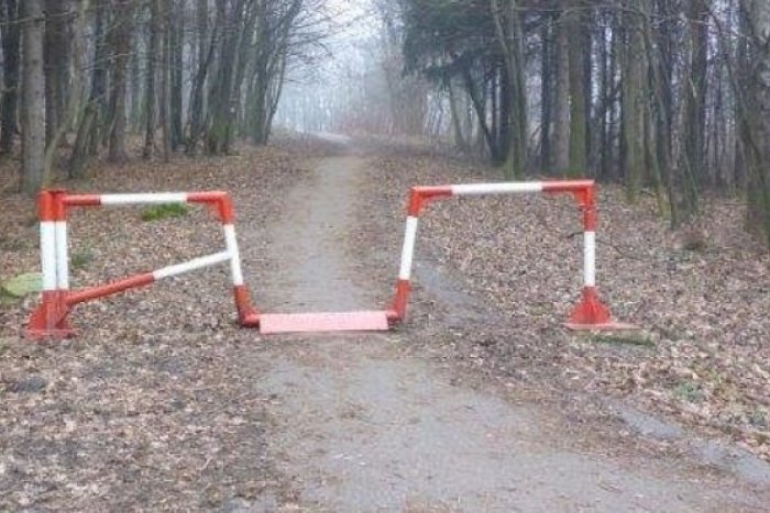 Ilustračný obrázok k článku Pohyb v prírode áno, ale nie autom! Cesty do lesov budú uzavreté