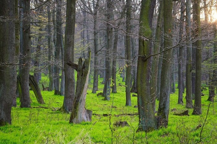 Ilustračný obrázok k článku Tipy na bezpečný veľkonočný výlet. Spoznajte inú tvár Bratislavy