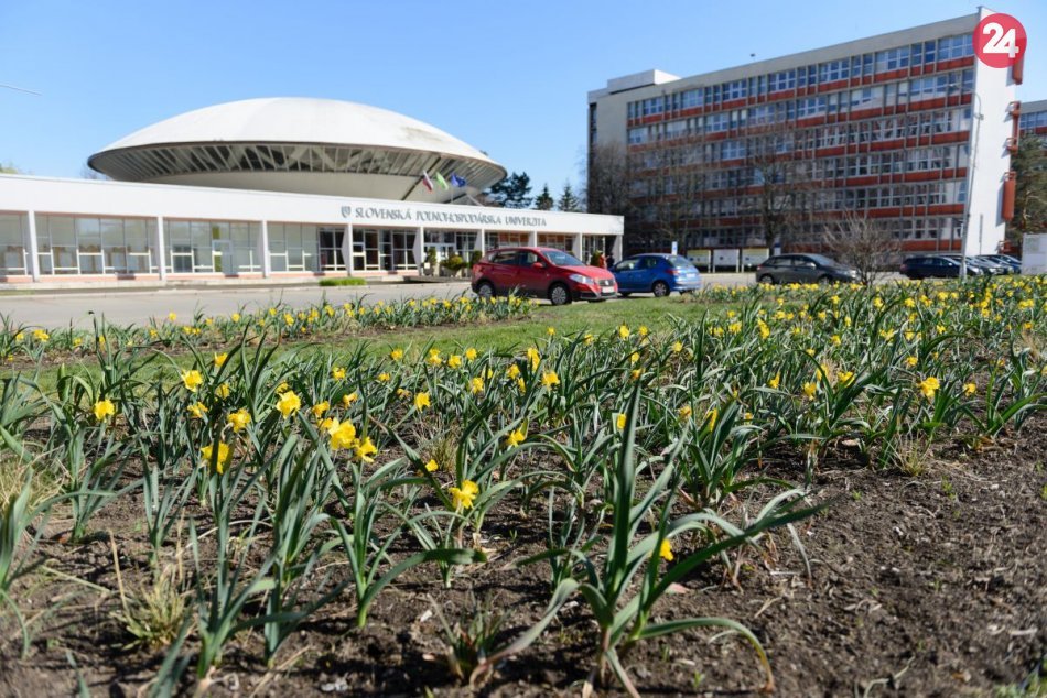 Ilustračný obrázok k článku Roky práce sa vyplatili: SPU získala vzácny európsky patent!