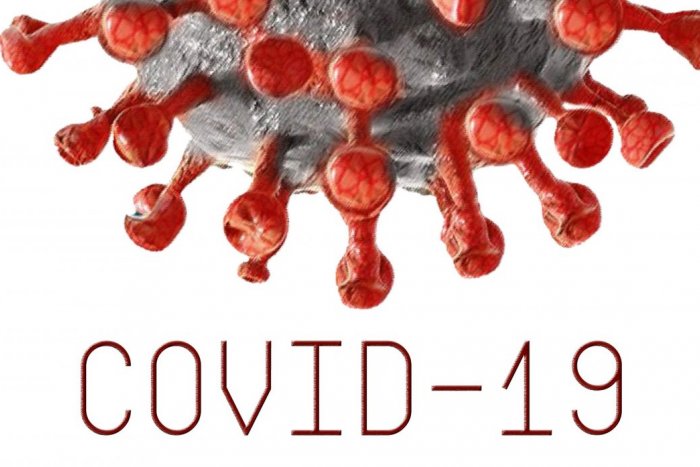 Ilustračný obrázok k článku Včera cez sto a manévre, dnes iba 19? Prekvapivo nízke čísla nakazených