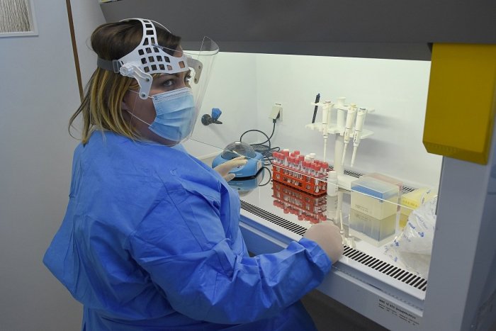 Ilustračný obrázok k článku V Žilinskom kraji pribudli len dva prípady COVID-19: Z týchto okresov