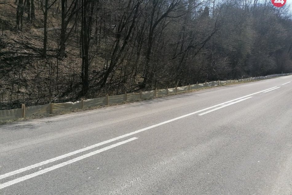 Ilustračný obrázok k článku Zábrany pri ceste na Ružíne chránia žaby pri jarnej migrácií, FOTO