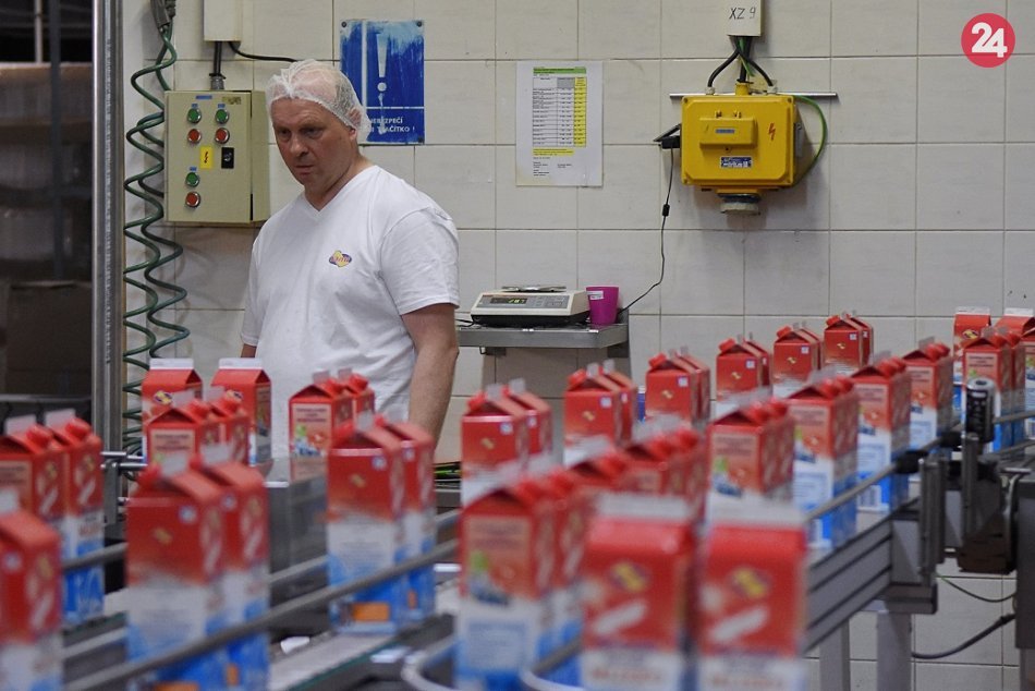 Ilustračný obrázok k článku Bude dosť mlieka? Mliekari nevedia, čo robiť počas nákazy!