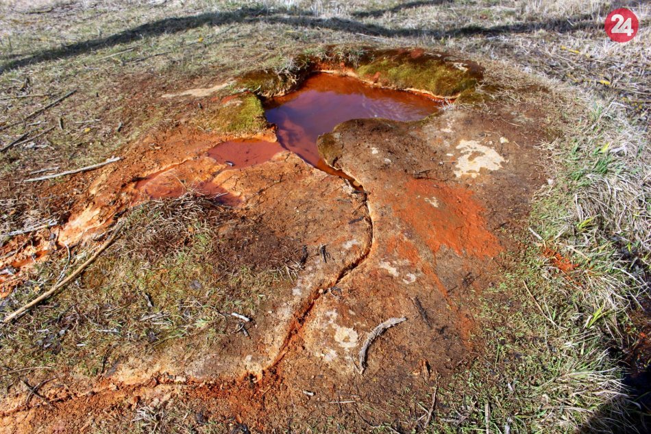 Ilustračný obrázok k článku Fakty o lákadlách v Bystrickom okrese: Toto by ste mali sypať ako z malíčka