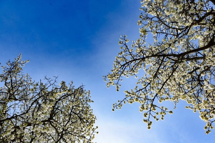 Ilustračný obrázok k článku Máme za sebou prvý tropický deň v tomto roku: A namerali ho v TEJTO obci Michalovského okresu!