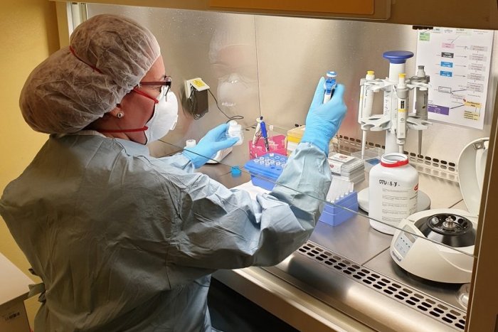 Ilustračný obrázok k článku Na Slovensku pribudlo 45 nových prípadov nákazy koronavírusom