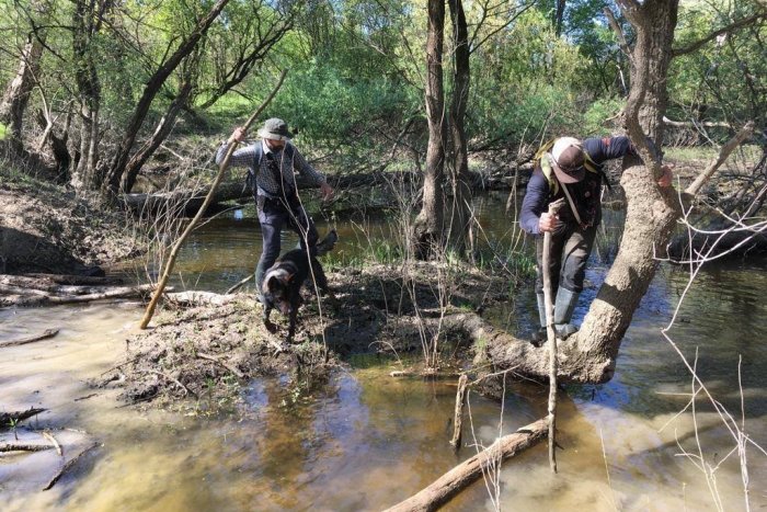Ilustračný obrázok k článku Veľká pátracia akcia: Hľadaného muža sa nájsť nepodarilo