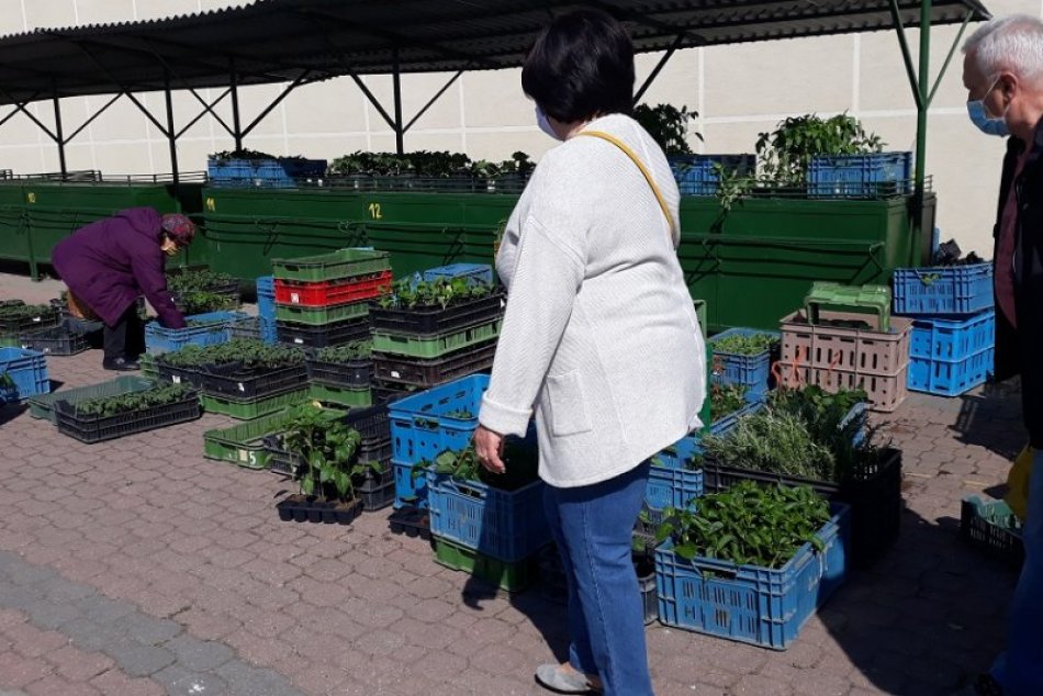 Ilustračný obrázok k článku Handlovské trhovisko má DÁTUM otvorenia: Bude však drahšie