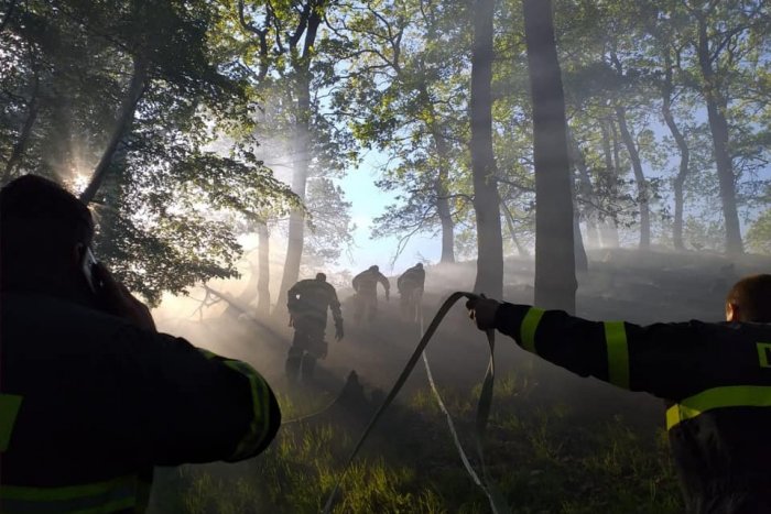 Ilustračný obrázok k článku Založili ho turisti z nedbalosti? Lesný požiar hasili desiatky hasičov