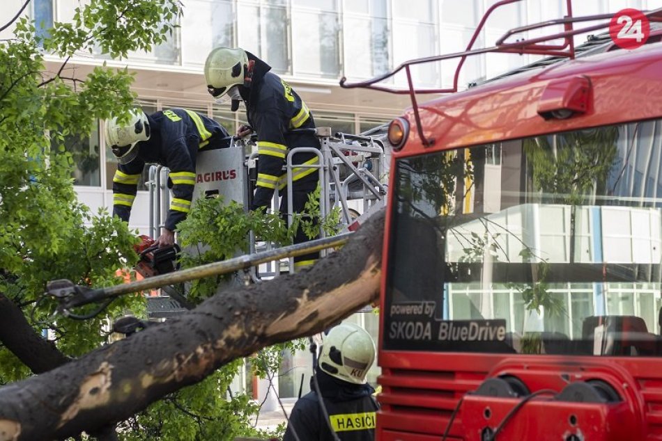 Ilustračný obrázok k článku Spadnutý strom ochromil železničnú trať v okrese Trenčín: Cestujúci bez zranení