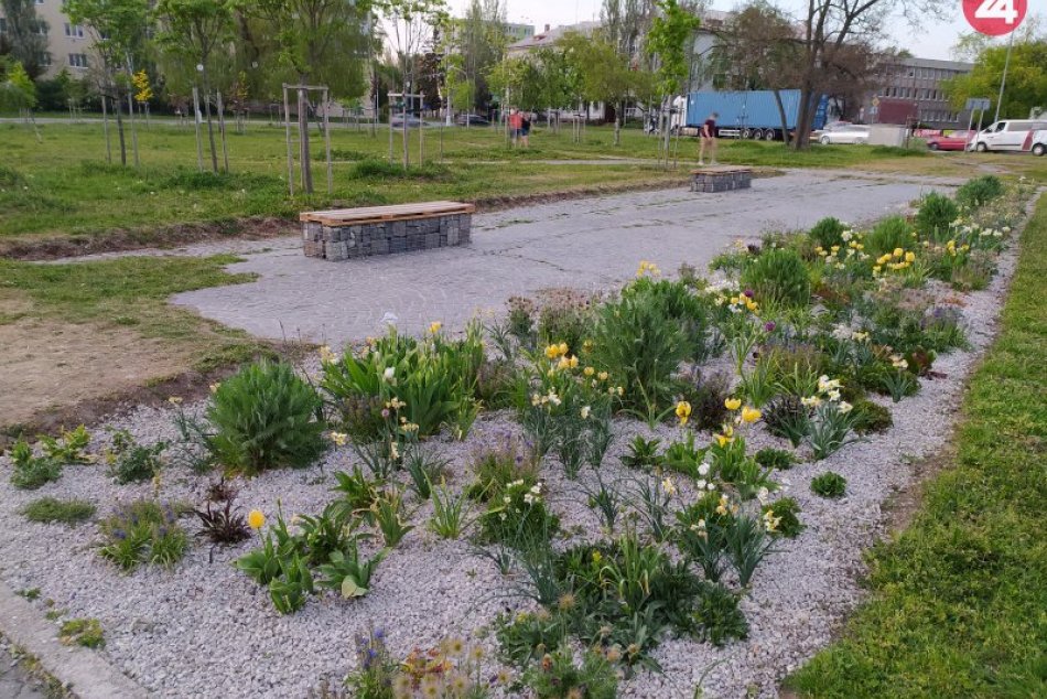 Ilustračný obrázok k článku Prechádzka mestom je hneď krajšia: Jar v uliciach Nových Zámkov, FOTO