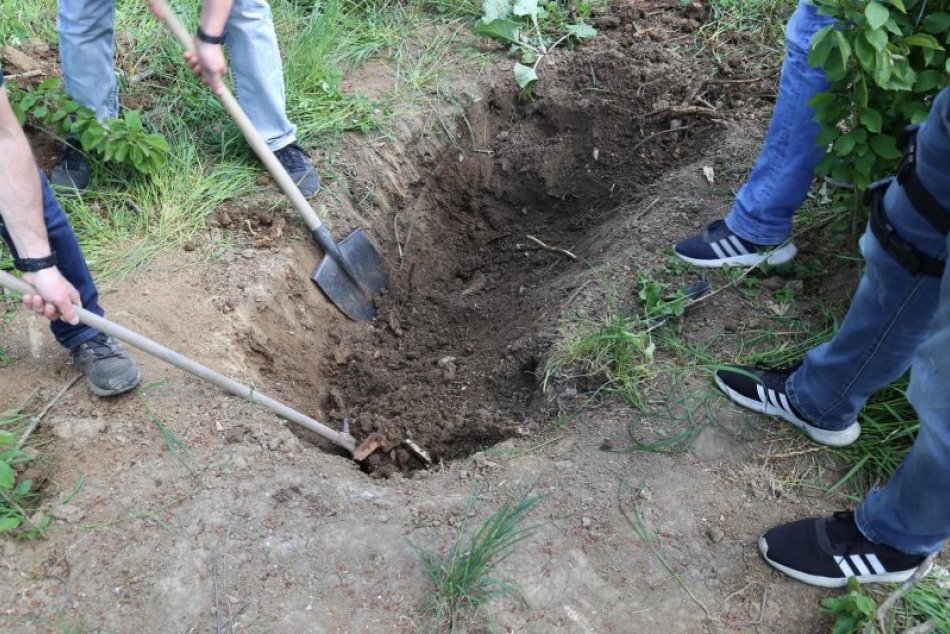 Ilustračný obrázok k článku Chladnokrvný čin: Erik čelí obvineniu z úkladnej vraždy svojej manželky