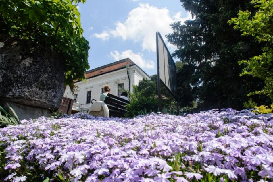 Ilustračný obrázok k článku TIP na výlet: Naše najväčšie arborétum láka na rastliny zo všetkých kútov sveta