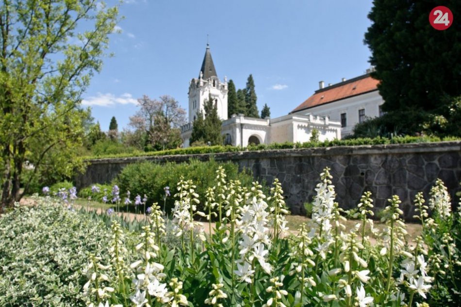 Ilustračný obrázok k článku Skvelé správy: Arborétum Mlyňany otvorilo svoje brány návštevníkom