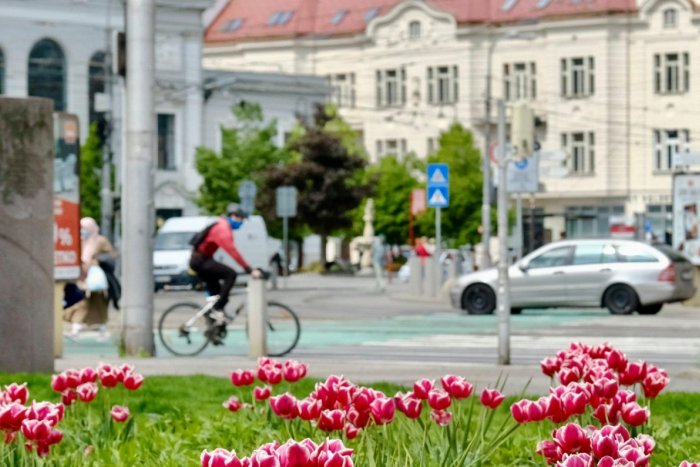 Ilustračný obrázok k článku Neuveríte, čoho si môžeme dopriať z výplaty najviac od 2. svetovej vojny!