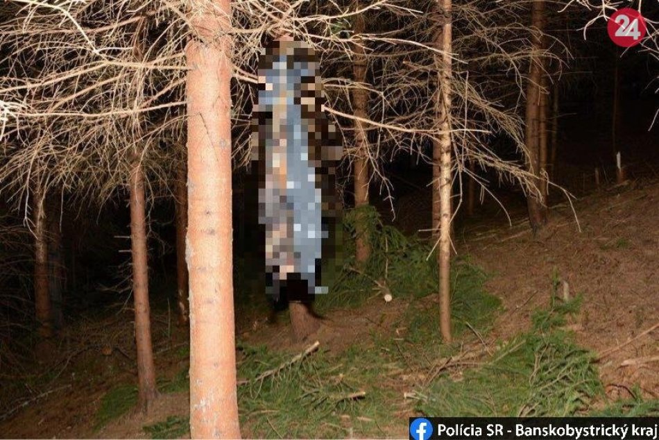 Ilustračný obrázok k článku Hyenizmus najhrubšieho zrna: Páchateľ utýral psa ohavným spôsobom, FOTO