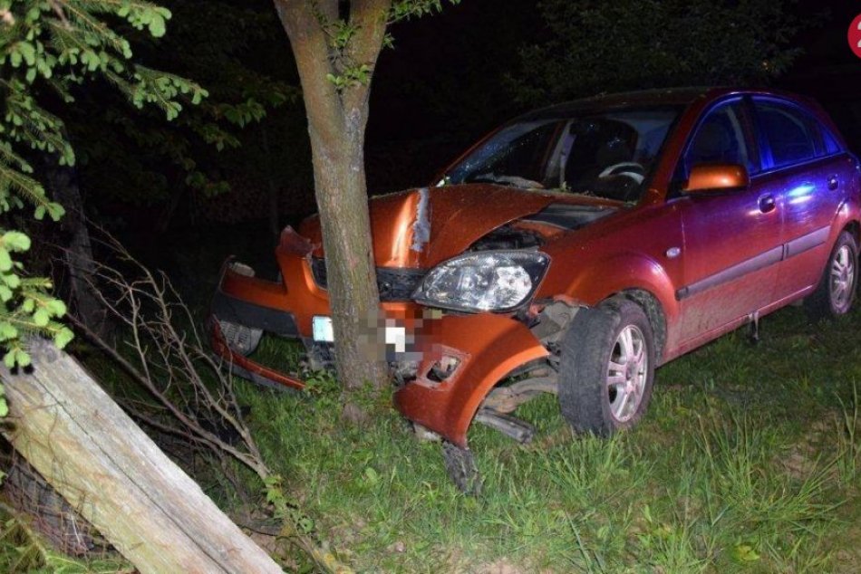 Ilustračný obrázok k článku Výsledok opitého vodiča (45): Šmyk a náraz do stromu pri Trenčíne, FOTO